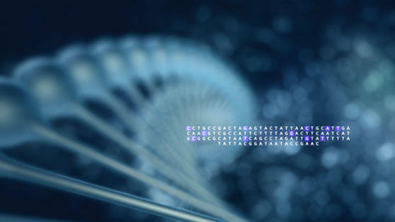 芯像生物企業(yè)介紹video