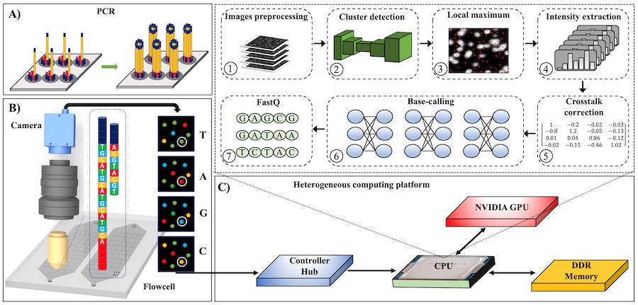 NVIDIA攜手GeneSense助力推動精準化人工智能測序儀發(fā)展(圖1)